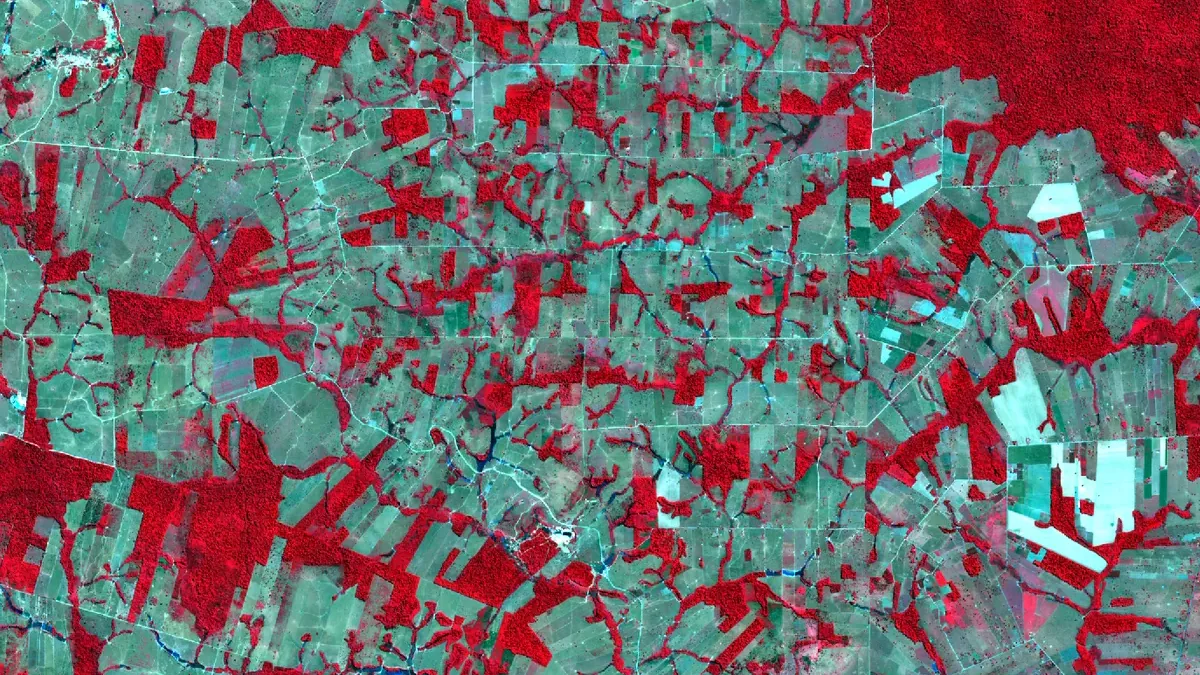Recorte em falsa-cor de uma imagem Sentinel-2 de Rondônia, com floresta em vermelho e áreas desmatadas em cinza.